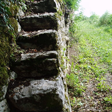 Sentier nature de Parnaux