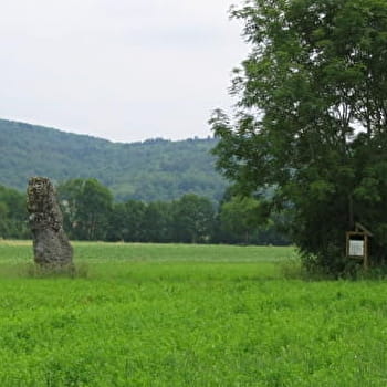 Menhir de Pierre et gués du Suran - SIMANDRE-SUR-SURAN
