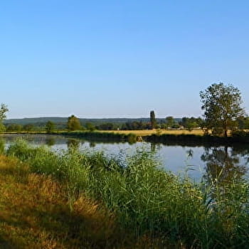 Circuit randonnée: Rendez-vous avec la Seille - SERMOYER