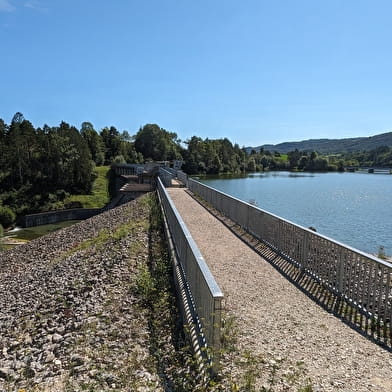 Parcours VTTAE 72 bleu - Des Gorges de l'Oignin aux Gorges de l'Ain - Espace FFC Ain Forestière