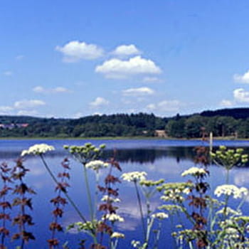 Sentier de la nature du petit lac de Pannecière - MONTIGNY-EN-MORVAN