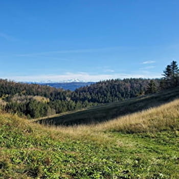 Randonnée - Chevauchée des 3 crêtes - PLATEAU D'HAUTEVILLE