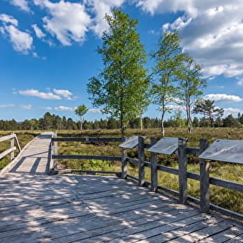 Tourbières de Frasne-Bouverans (Petite boucle) - FRASNE