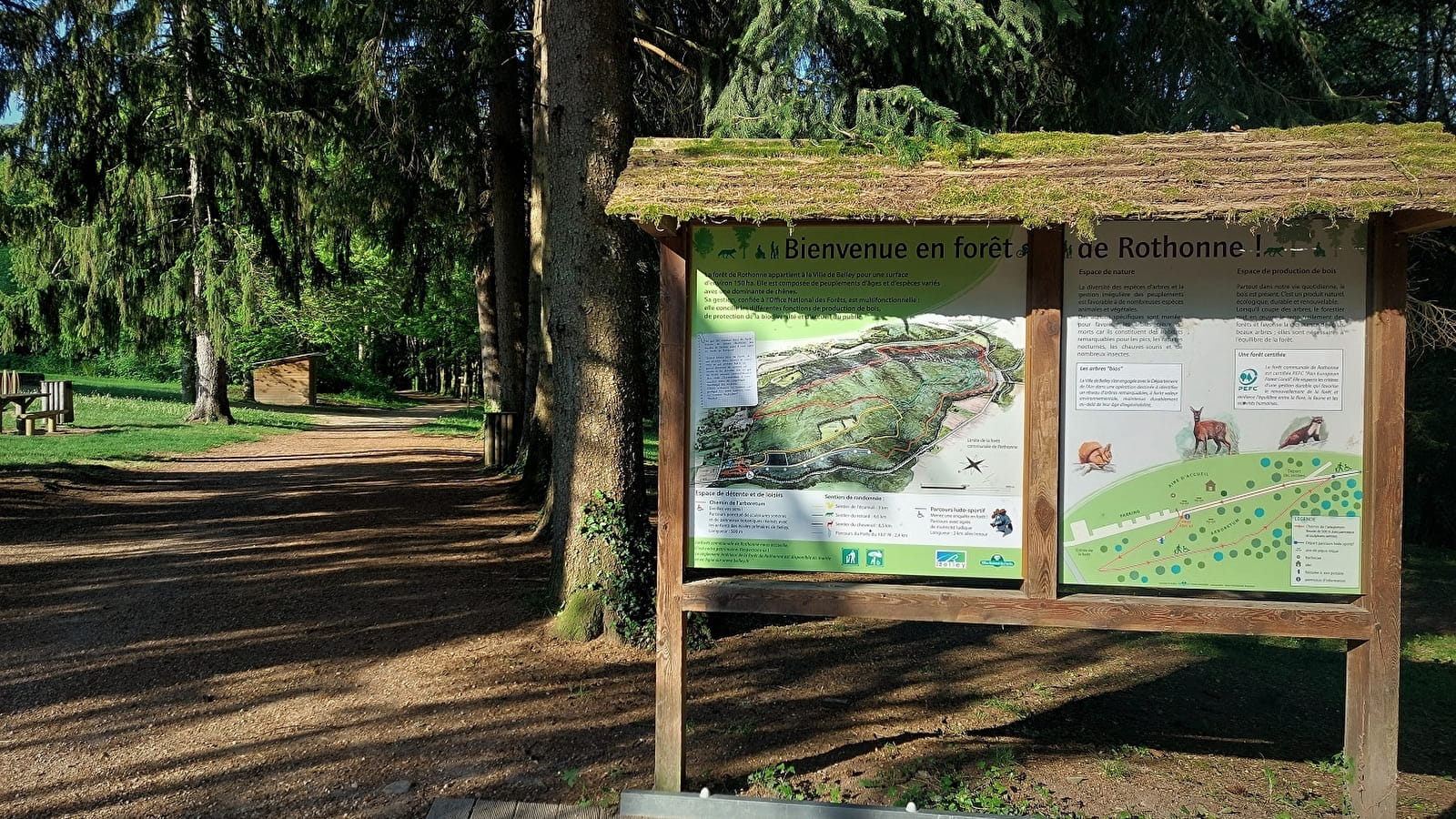 Circuits de randonnée pédestre de la forêt de Rothonne