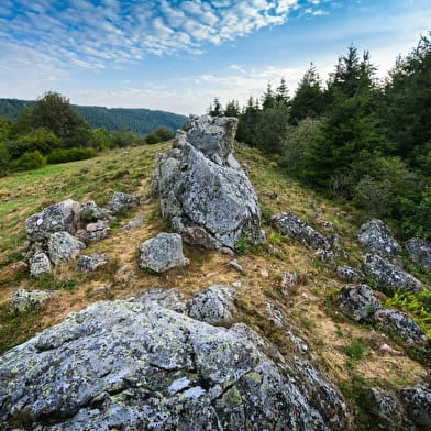 Micro aventure à Chiroubles