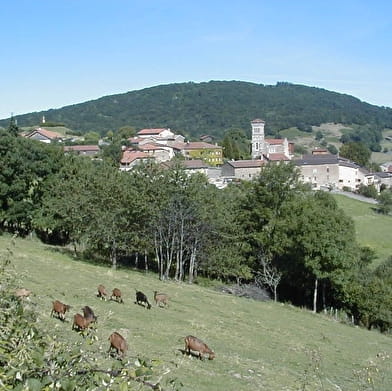 Circuit Le Grand Tour