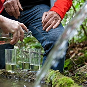 Découverte de la route de l'Absinthe - PONTARLIER