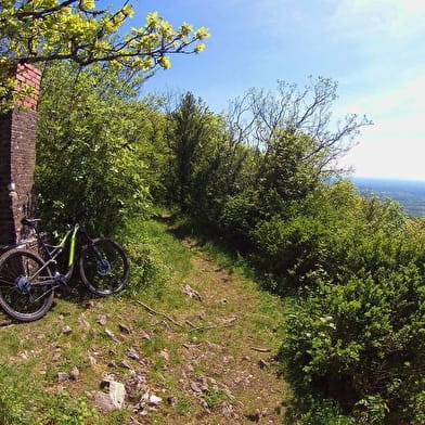 Mont Nivigne - Crête du Lomont