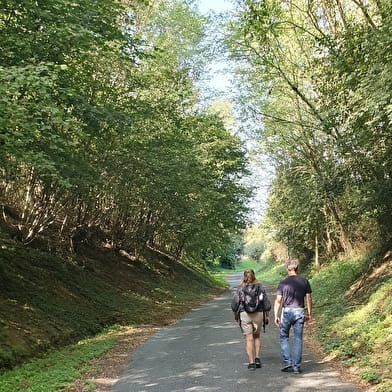 Circuit randonnée : du lavoir de Montépin