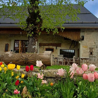 La ferme Guichard - Parcours de trail n°22