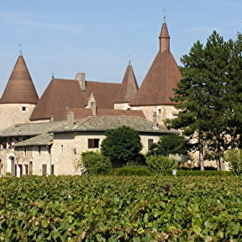 Circuit de Corcelles-en-Beaujolais - CORCELLES-EN-BEAUJOLAIS