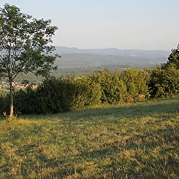 Randonnée - Les Conches, la sainte colline du Revermont - DROM