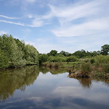 Le Marais de Montceaux-L'Etoile - MONTCEAUX-L'ETOILE
