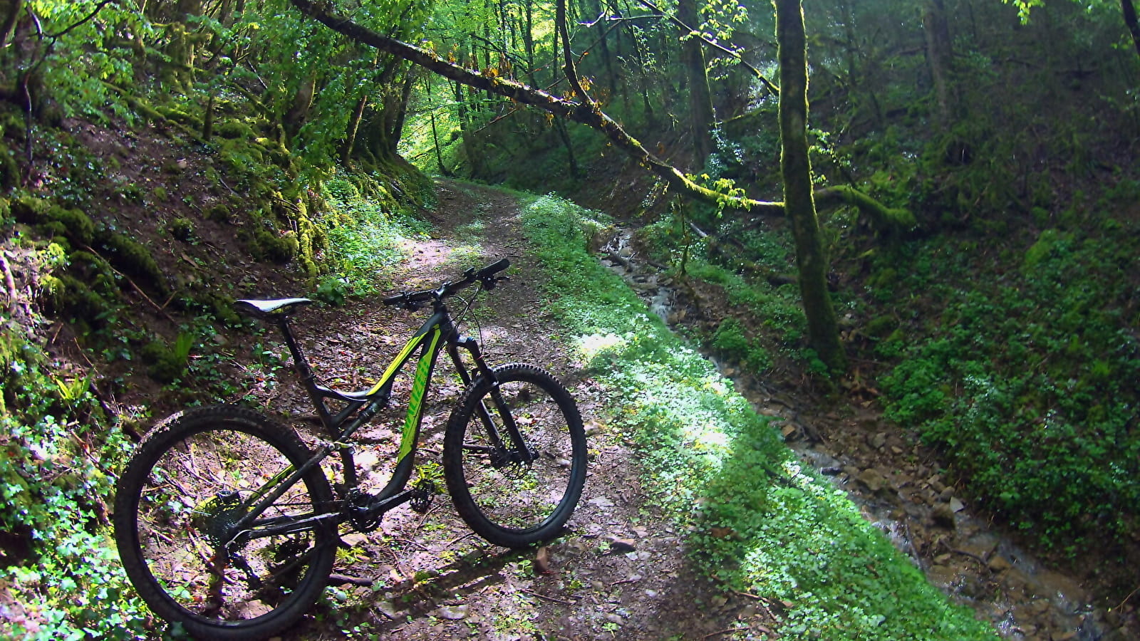 Circuit VTT n°4 (rouge) - Forêt et contreforts du Revermont