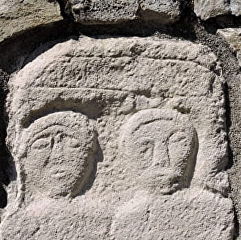 Le bois des Vignes - MARMAGNE