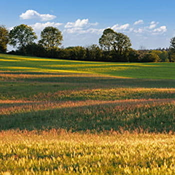 Les Vestiges du Passé - 2B - FAY-EN-MONTAGNE