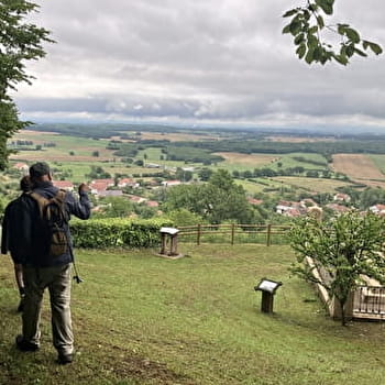 Le sentier du Mont Gédry - Arpenans