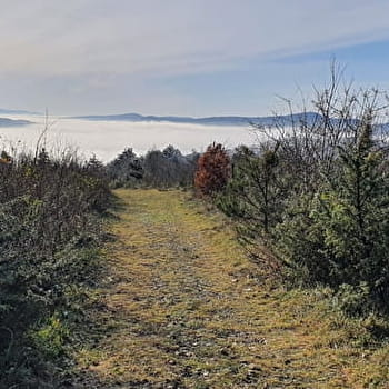 Randonnée - Belvédère du Mont de Grillerin - MEILLONNAS