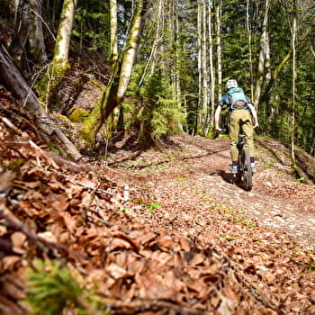 Le Refrain - n°54 - CHARQUEMONT