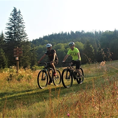 Parcours VTTAE 64 bleu - Montfalcon - Espace FFC Ain Forestière