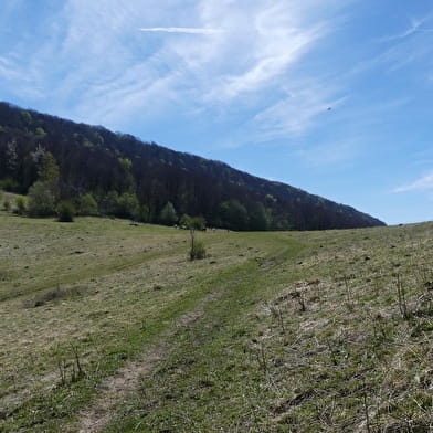 Mont Nivigne et Grotte à l'Ours