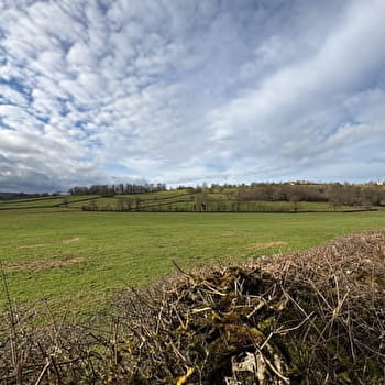 Balade Verte - Sentier panoramique (PZ1) - PRIZY