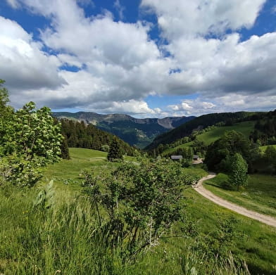 Circuit équestre des Montagnes du Haut-Jura