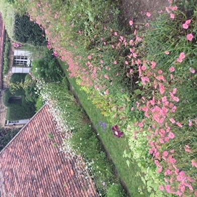 Rendez-vous aux jardins : jardin des Clématites