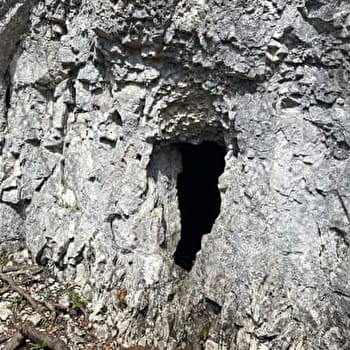 Grotte à Pierre du Bourg - CHAPELLE-DES-BOIS