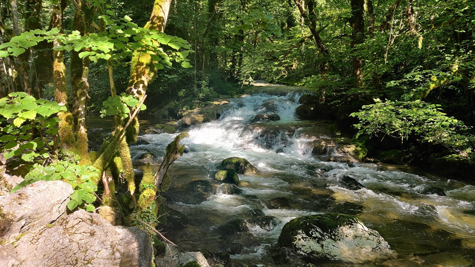 Le sentier 'au fil de l'eau'