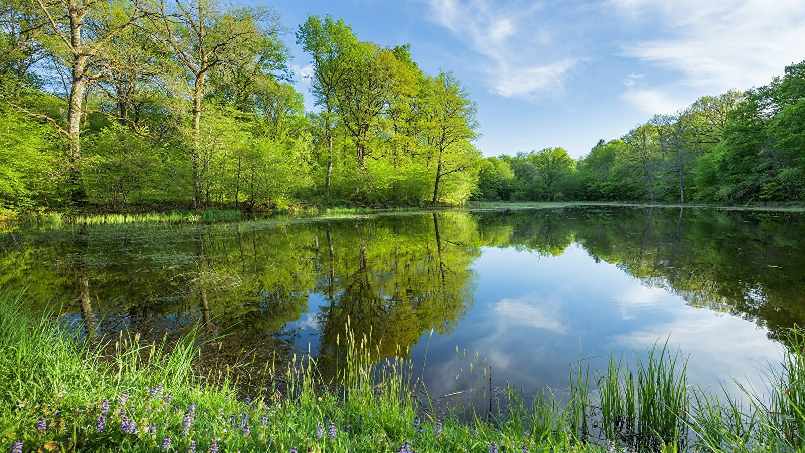 L'ancienne Abbaye - 60B