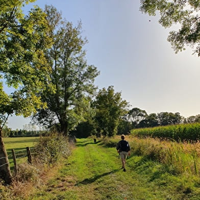 Circuit randonnée : entre bois et rivière