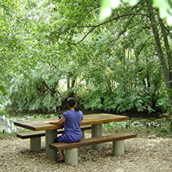 MARCHÉ ET PIQUE-NIQUE À CHARNY-ORÉE-DE-PUISAYE - 