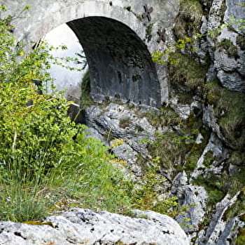 Le Dragon Sous-Roche - CHAMPFROMIER