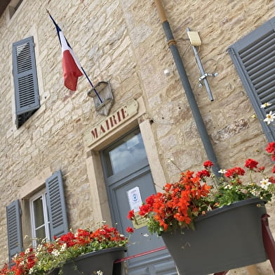 Circuit randonnée : entre bois et rivière