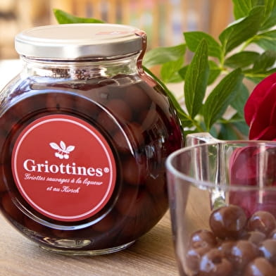 Belfort - Fougerolles : le pays des 1000 étangs