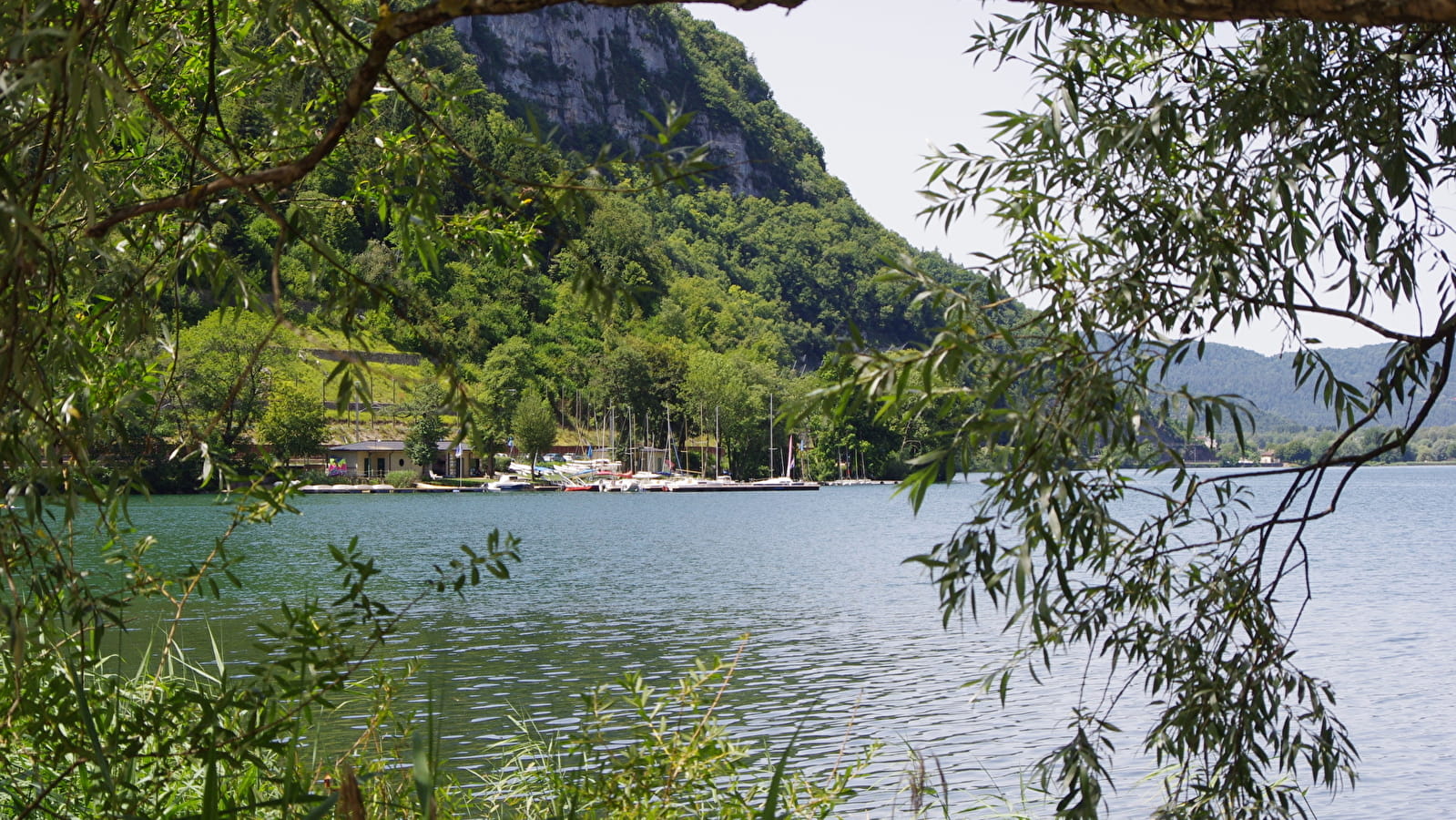 Parcours VTT 66 bleu - Forêt de Coléjard - Espace FFC Ain Forestière