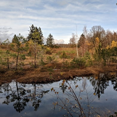 Entre étangs et prairies