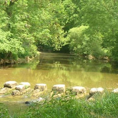 Chavuissiat le petit, Corcelles et le bois vert