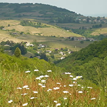 Circuit VTT B3 de Beaujeu à St Didier/Beaujeu - BEAUJEU