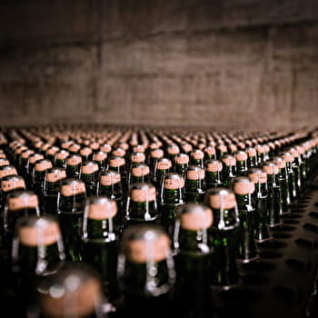 Caveau RENARDAT-FACHE - MERIGNAT