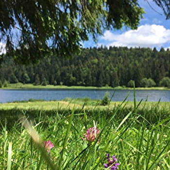 Parcours VTT 67 vert - Lac Genin et les hauts de Charix - Espace FFC Ain Forestière - CHARIX