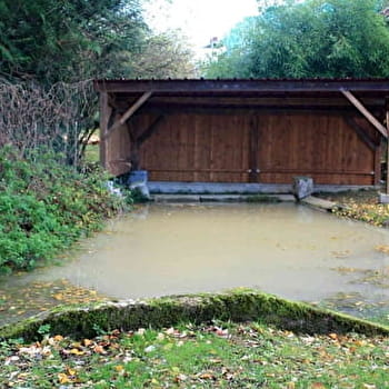 Les lavoirs - THURY