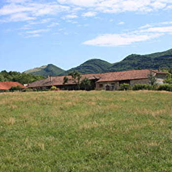 La Grange du Pin : Circuit pédestre n°1 - VAL-REVERMONT