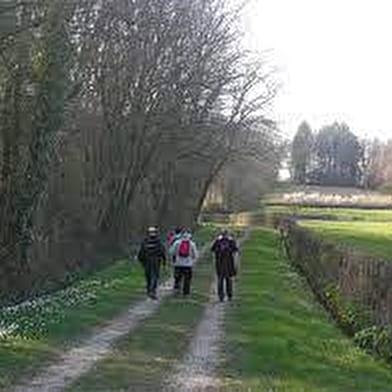 Circuit randonnée : Des Sables