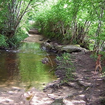 La Balade de Nestor à Lormes - LORMES