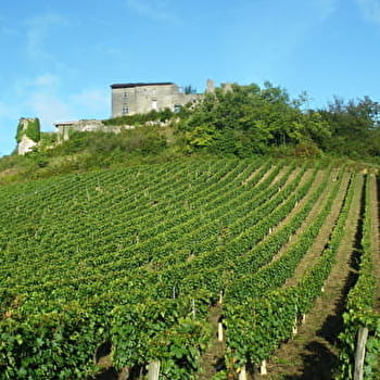 La dame blanche - JUJURIEUX