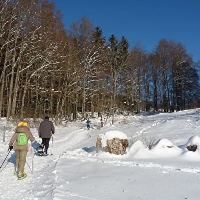 La ferme Guichard depuis la Praille - Circuit raquettes