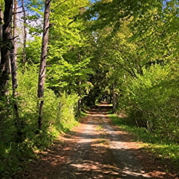 Grandes Traversées du Jura (GTJ) : Itinéraire gravel de Mandeure à Culoz - CULOZ