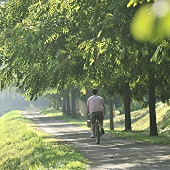 Le Chemin des Flotteurs - CLAMECY